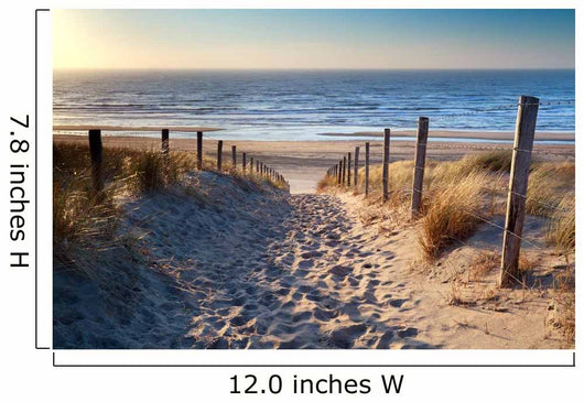 Path to North Sea Beach 