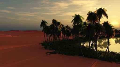 Sunset Oase 2 Wall Decal
