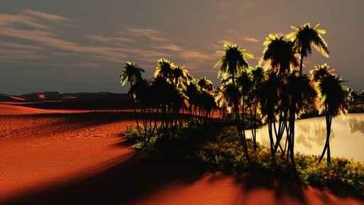 Sunset Oasis 4 Wall Decal
