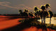Sunset Oasis 4 Wall Decal