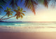 Sunset on Seychelles Beach 