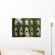 Ivy around windows of Princeton University lecture hall Wall Mural