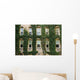 Ivy around windows of Princeton University lecture hall Wall Mural