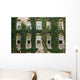 Ivy around windows of Princeton University lecture hall Wall Mural