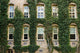 Ivy around windows of Princeton University lecture hall Wall Mural