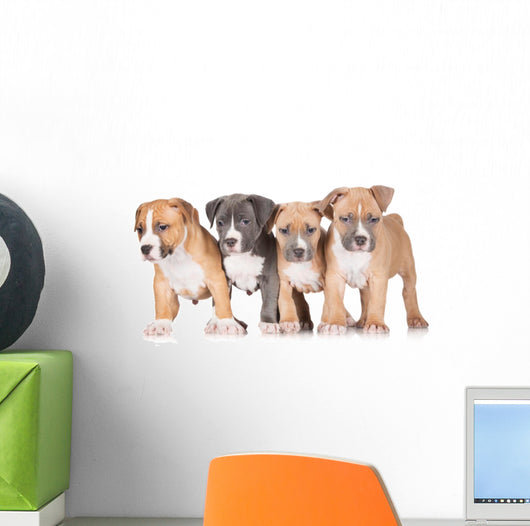 Four Puppies Wall Mural