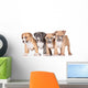 Four Puppies Wall Mural
