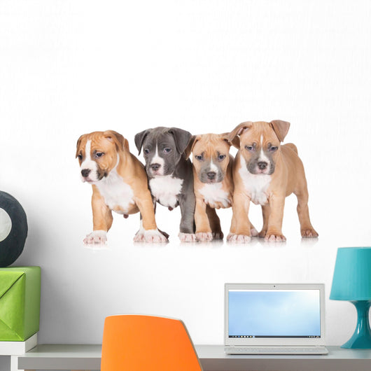 Four Puppies Wall Mural