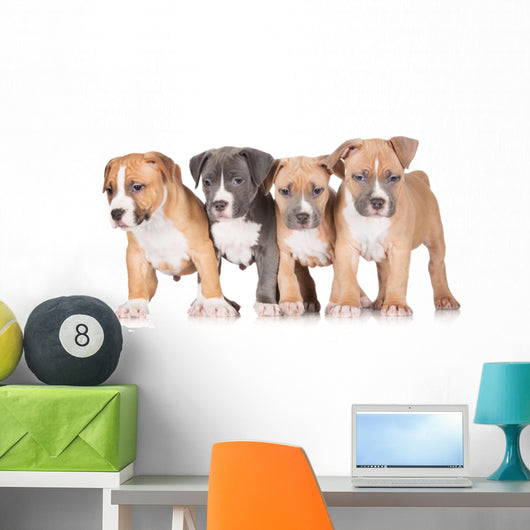 Four Puppies Wall Mural