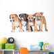 Four Puppies Wall Mural