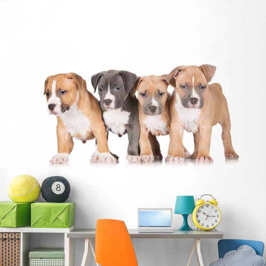Four Puppies Wall Mural