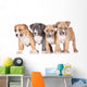 Four Puppies Wall Mural