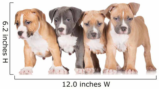 Four Puppies Wall Mural