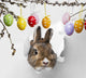 Easter Rabbit Looks Through a Hole 