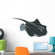 Swimming Manta Ray 