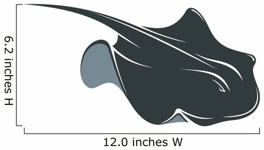 Swimming Manta Ray 