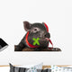 A Cute Little Black Pig Sitting in a Basket Wall Decal