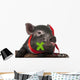 A Cute Little Black Pig Sitting in a Basket Wall Decal