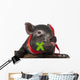 A Cute Little Black Pig Sitting in a Basket Wall Decal