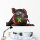 A Cute Little Black Pig Sitting in a Basket Wall Decal