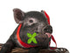A Cute Little Black Pig Sitting in a Basket Wall Decal