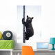 BraunbÃ¤r Wall Mural