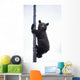 BraunbÃ¤r Wall Mural