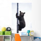 BraunbÃ¤r Wall Mural