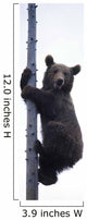 BraunbÃ¤r Wall Mural