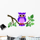 Cute Owl Sitting on a Branch 