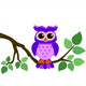 Cute Owl Sitting on a Branch 