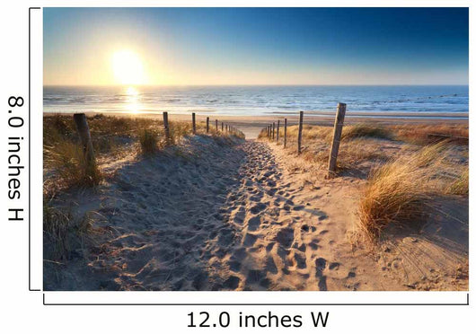path to sand beach in North sea 