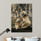Tamarin Affen 