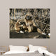 Tamarin Affen 