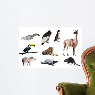 Fauna South America Wall Decal shown on a wall