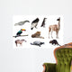Fauna of South America Wall Decal