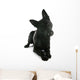 Black German Shepherd Wall Decal