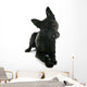 Black German Shepherd Wall Decal