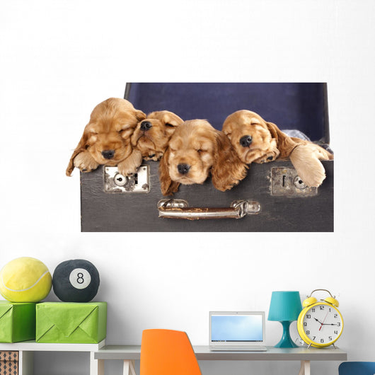 English Cocker Spaniel in Retro Suitcase 