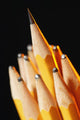 A Sharp Pencil Wall Mural