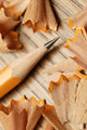 Sharpened Pencil Wall Mural