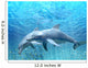HI res Dolphins under water 