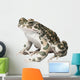 Prince Charmingâ€™s Frog Wall Mural