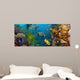 Coral and fish 