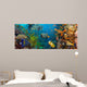 Coral and fish 