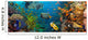 Coral and fish 