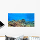 Coral Reef Panoramic Wall Decal