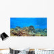 Coral Reef Panoramic Wall Decal