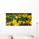 Spring First Wall Decal