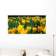 Spring First Wall Decal